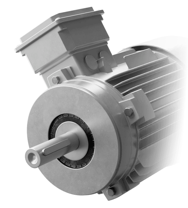 Surface treatment| Fluent Conveyors