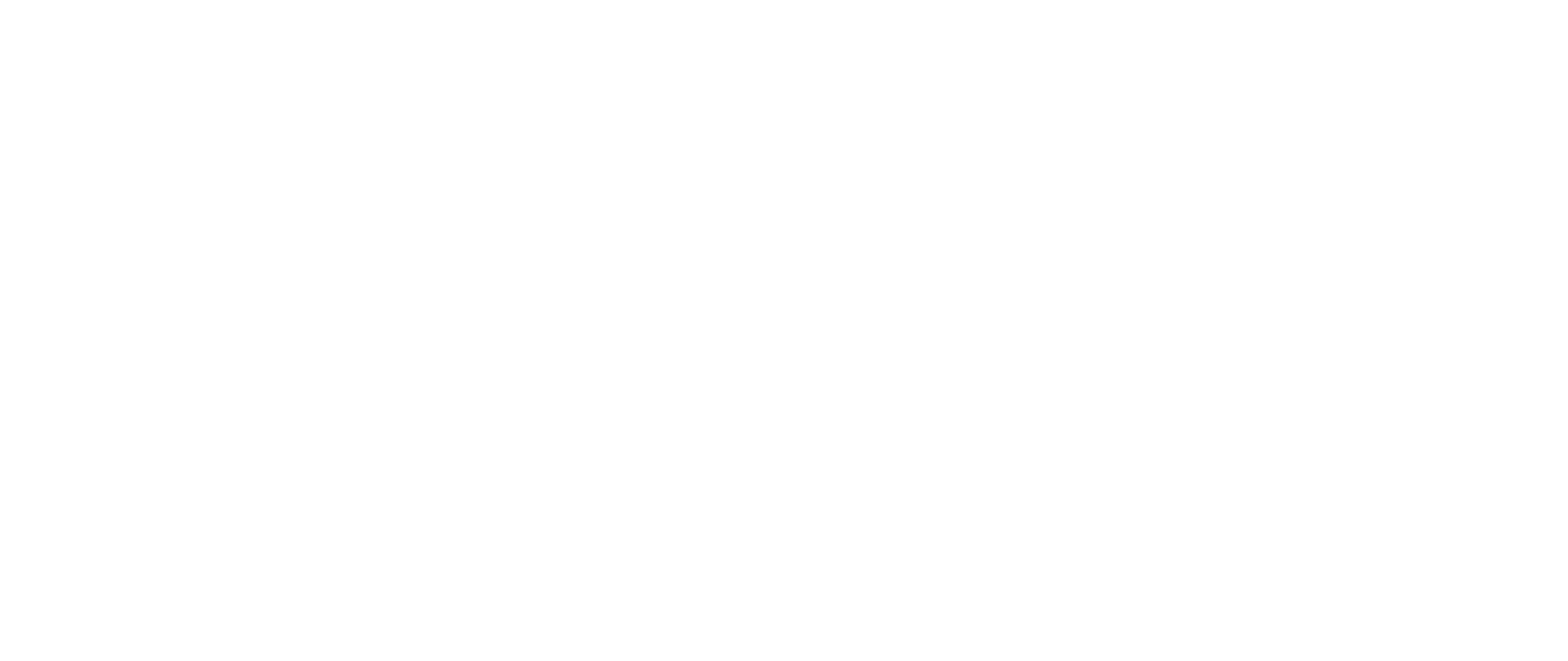 Fluent Conveyors: The Ultimate Conveyor Solution