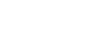 Defender