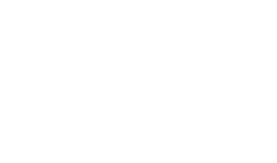 Steinert - Fluent Conveyors partner