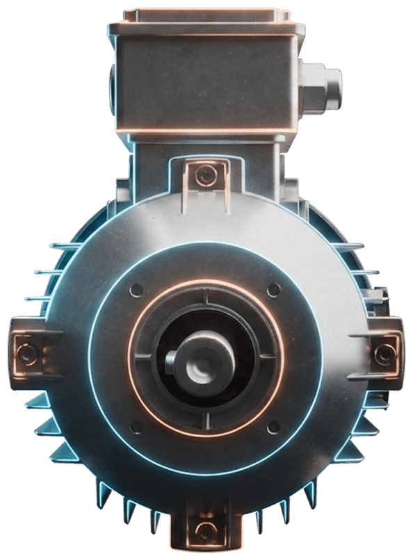 About explosion-proof motors