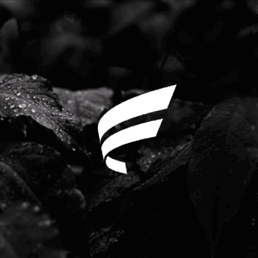 White logo on a dark photo