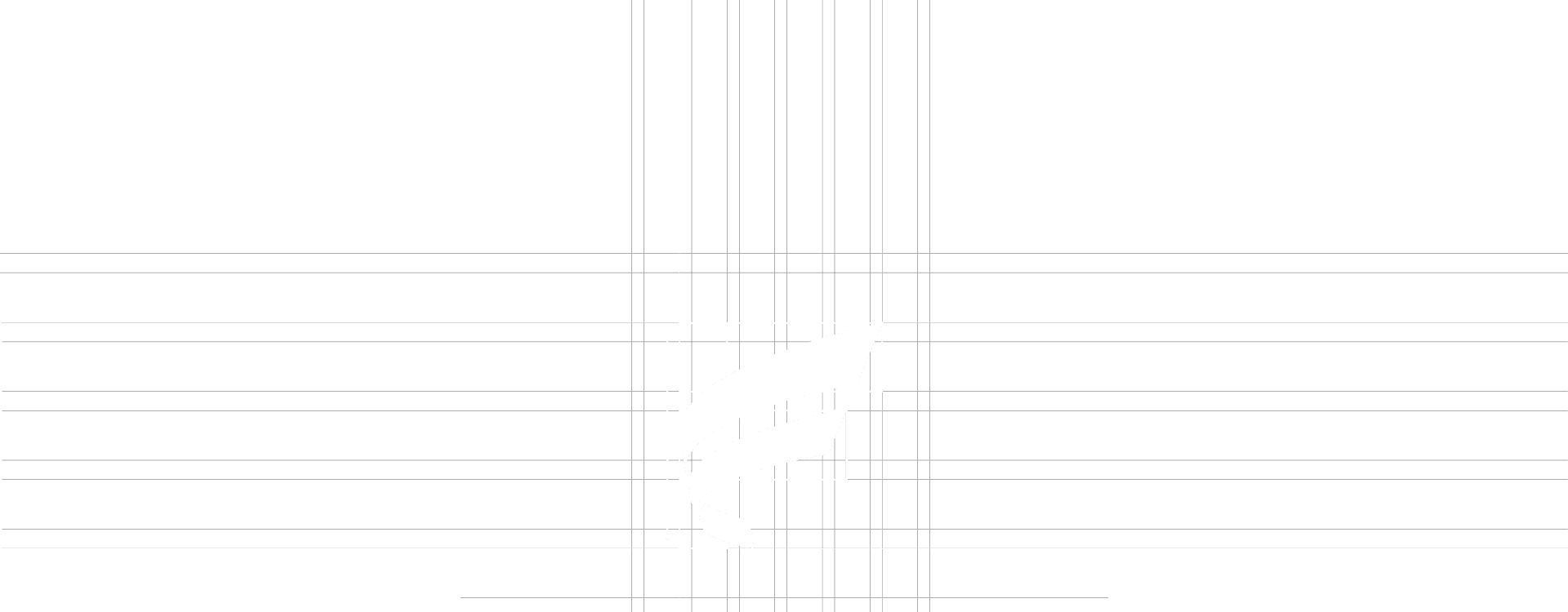 VISUAL IDENTITY