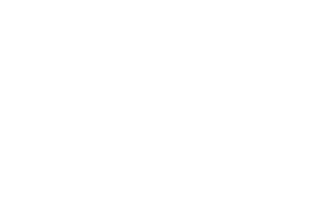 ppi@4x