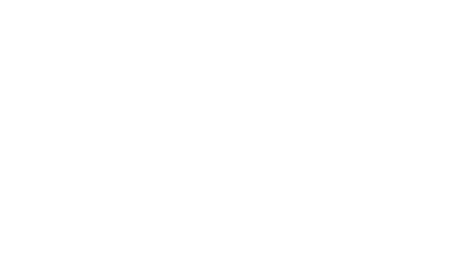 DICK-s