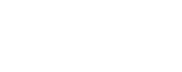 Phoenix Contact@4x