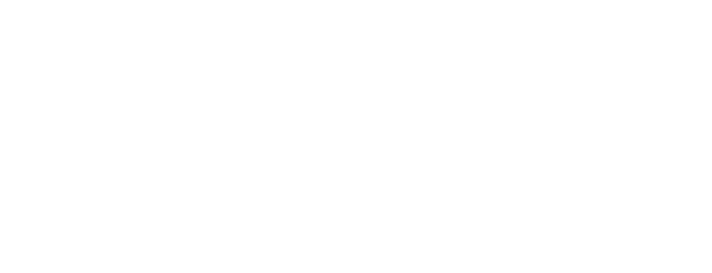 Dem Con