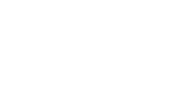 Diamond Vogel