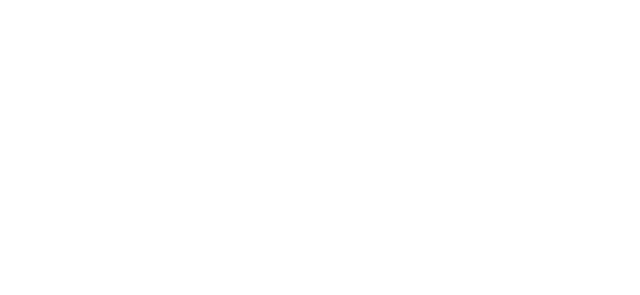 SKF@4x